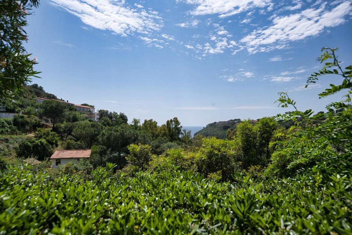 Alloggi Del Mirto A Morcone - Goelba Capoliveri  Εξωτερικό φωτογραφία