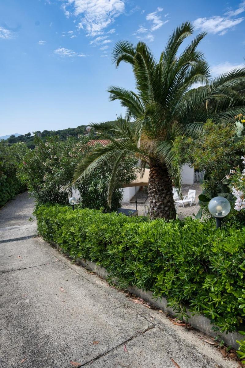 Alloggi Del Mirto A Morcone - Goelba Capoliveri  Εξωτερικό φωτογραφία