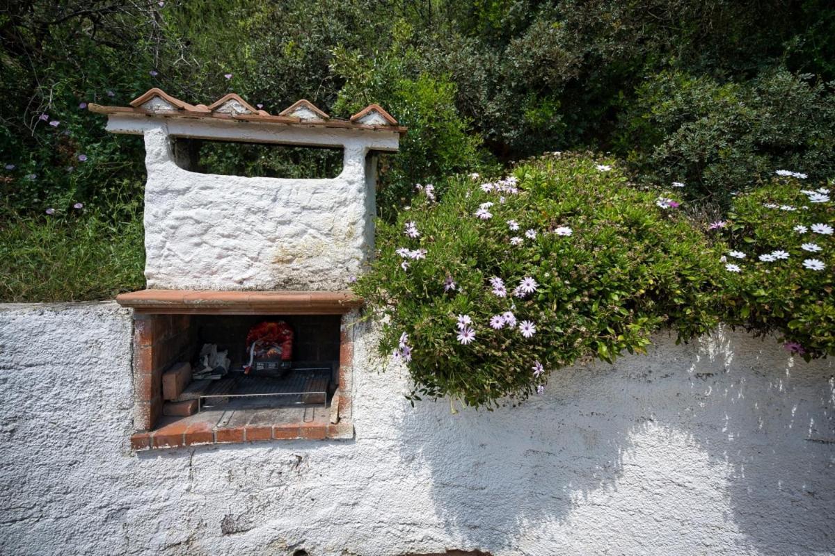 Alloggi Del Mirto A Morcone - Goelba Capoliveri  Εξωτερικό φωτογραφία